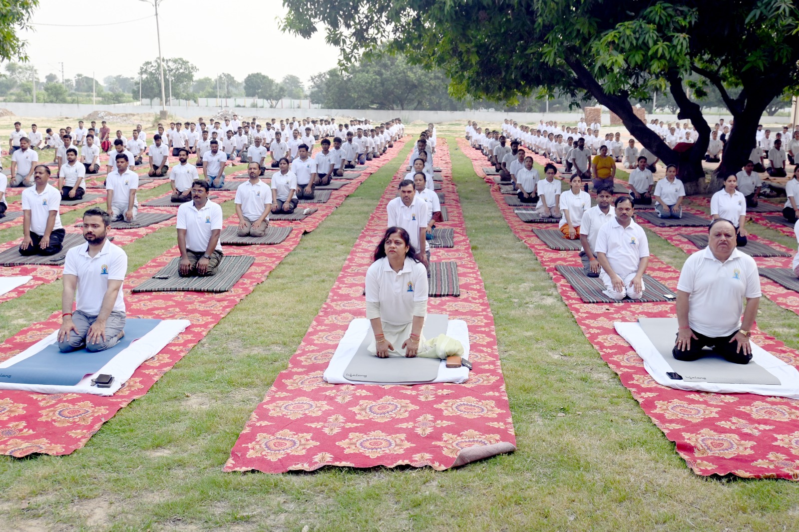 International Yoga Day 2026 Celebrated at Major SD Singh University
